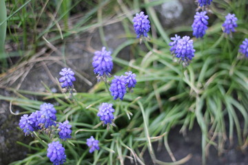 Nature, photo Czech republic, Europe