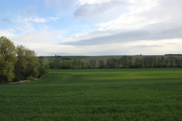 Nature, photo Czech republic, Europe