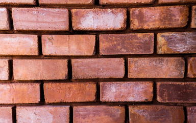Brick Wall