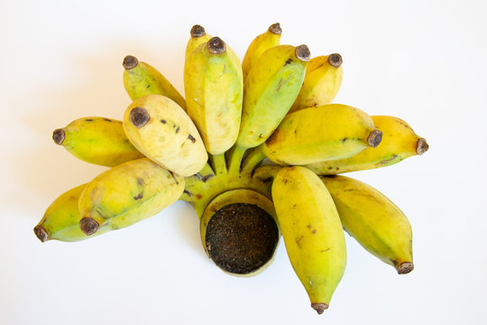 Ripe yellow  Cultivated banana are delicious.