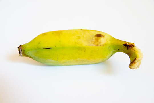 Ripe yellow  Cultivated banana are delicious.