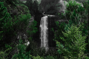 Magical hidden waterfall on a misty morning.