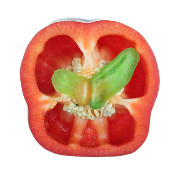The cross section of the sweet red paprika pepper with green batterfly wings inside isolated macro