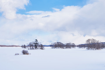Fototapeta na wymiar Beautiful landscape scenic of snow cover Onuma lake in Kameda district, Hokkaido, Japan.