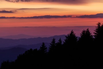 Trees silhouettes against a beautifully colored sky at dusk, with mountains layers in the background
