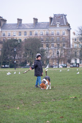 Little boy playing with his dog in the park with a stick