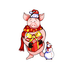 Xmas pig watercolor illustration. Happy piglet in Santa hat and scarf. Pig year character. Piggy with present. Chinese New Year 2019 symbol. Christmas postcards and posters design. Isolated raster