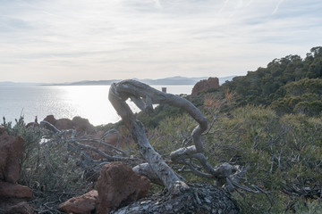 paysage en bord de mer