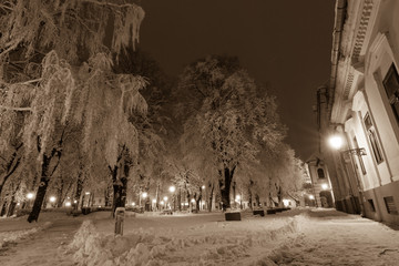 Winter scene in Vinkovci, Croatia