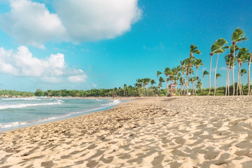 Tropical coastline. Macao beach, Dominican Republic, Punta Cana.