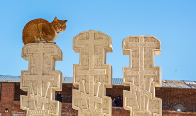 Red cat sitting on  old Russian marble monument