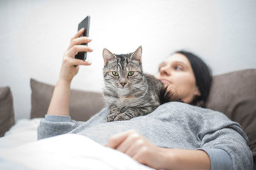 gelangweilte Katze mit Frauchen am Handy