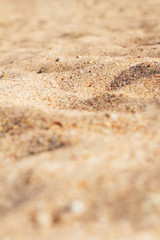 Fototapeta na wymiar Golden sand background, tropical beach, selective focus