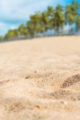 Fototapeta na wymiar Tropical beach background vertical, close-up yellow textured sand