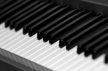 Naklejka premium Black and white piano keys