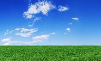 View of the green fields and blue sky