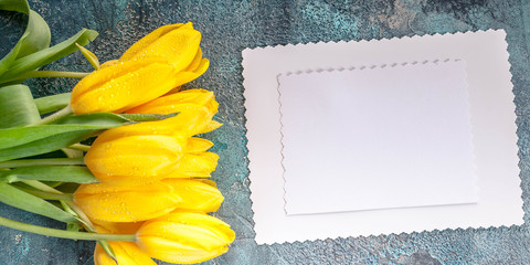 Horizontal banner. Empty White blank card end yellow tulips on blue concrete background. Top view