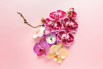 Alarm clock and beautiful flowers on color background
