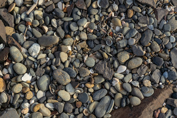 Sea washed stones and pebbles