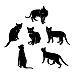 Set of Various Cats Silhouette
