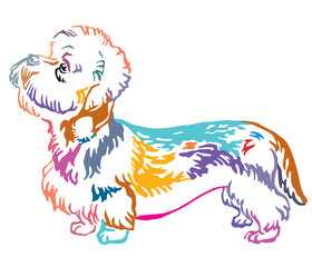 Colorful decorative portrait of Dog Dandie Dinmont Terrier vector illustration