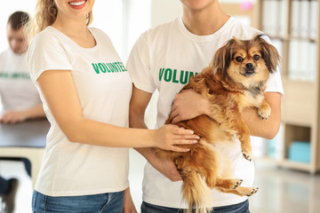 Young volunteers with dog indoors