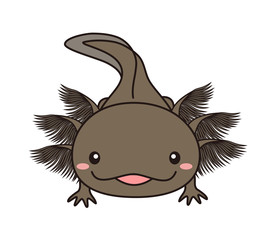 ウーパールーパー　全身　イラスト　ブラック