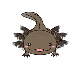 ウーパールーパー　全身　イラスト　マーブル