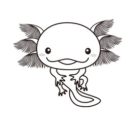 ウーパールーパー　全身　ぬりえ　イラスト