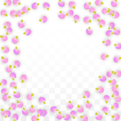 Naklejka na ściany i meble Vector Realistic Pink Petals Falling on Transparent Background. Spring Romantic Flowers Illustration. Flying Petals. Sakura Spa Design. Blossom Confetti.