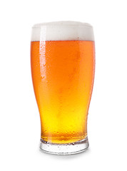 Glass of fresh beer on white background