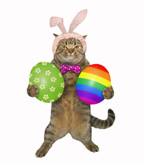 The funny cat in easter bunny ears and a bow tie holds the two big painted eggs. White background.