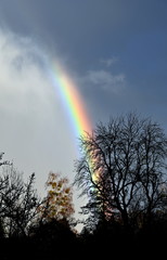 Regenbogen in Eggesin im Winter 2019