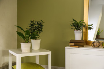 Interior of beautiful modern room with houseplants
