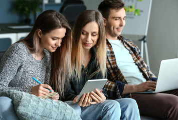 Young IT specialists working in modern office