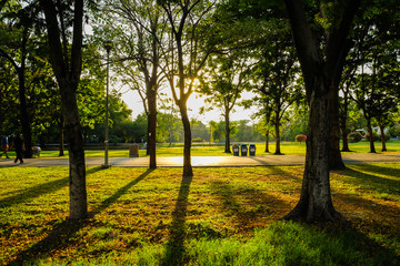 City green tree public park sunset with light of sun