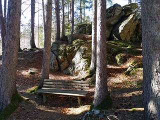Kraftplatz im Wald mit großen Steinen