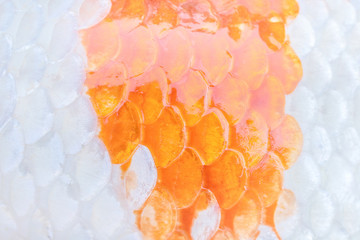 Patterns seamless  scale texture of colorful carp or koi fish texture for white orange background