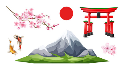 Vector japanese Torii gate sakura koi carp