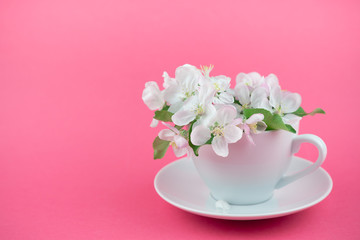 White spring apple tree blooming flowers in a cup
