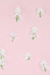 Obraz na płótnie Canvas Pink background with white lilac flowers