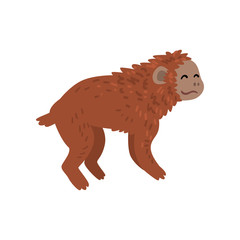 Ape, Monkey Animal Progress Stage, Evolutionary Process of Woman Vector Illustration