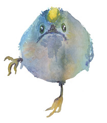 Watercolor bright hand-drawn bird on the white isolated background. Decorative clipart element. Spring and summer season bird.