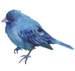 Watercolor bright hand-drawn bird on the white isolated background. Decorative clipart element. Spring and summer season bird.