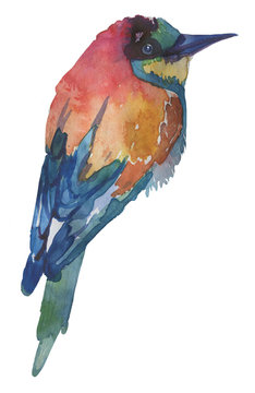 recommend clip art: Watercolor bright hand-drawn bird on the white isolated background. Decorative clipart element. Spring and summer season bird.