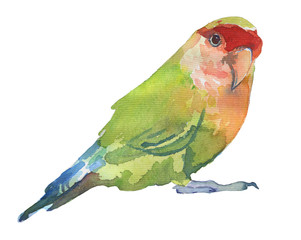 Watercolor bright hand-drawn bird on the white isolated background. Decorative clipart element. Spring and summer season bird.