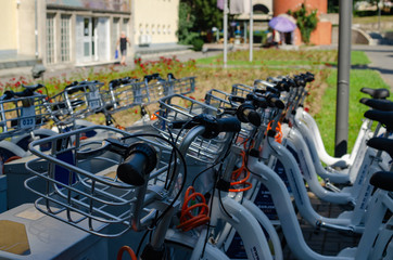 Fototapeta na wymiar Row of bicycles of the same kind for rent, parked in a public park - close-up