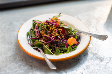 Green salad with mung bean, tangerine and red cabbage