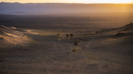 Fototapeta na wymiar Sunrise in Sahara desert.