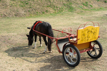 a horse-drawn cart